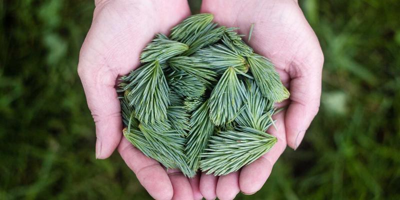 上海久久环保41：专业水处理与环保工程解决方案，赋能绿色未来