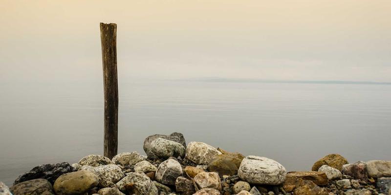 上海久久环保61：专业废气治理与环保解决方案的行业引领者