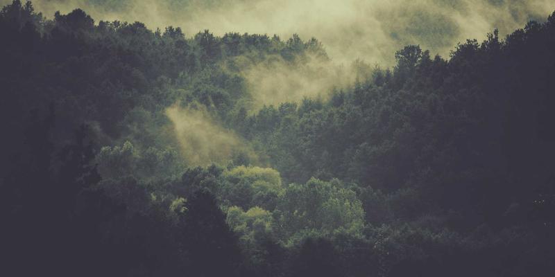 上海久久环保：为化工园区提供水气土协同治理整体解决方案