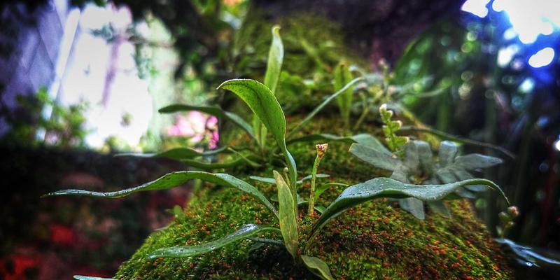 上海久久环保危废鉴别与规范化管理：专业环保解决方案助企业规避环境法律风险