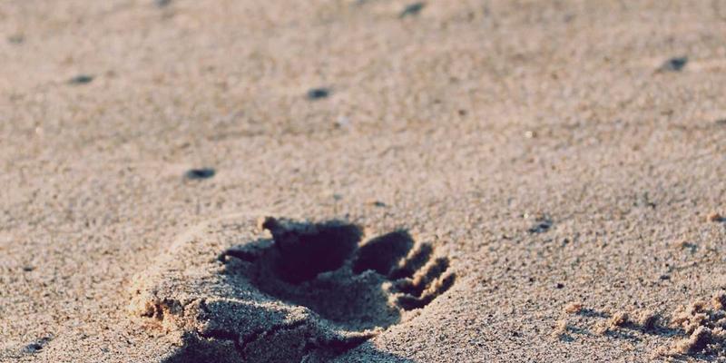 上海久久环保发展：以专业水处理与废气治理技术，构筑绿色工程新标杆