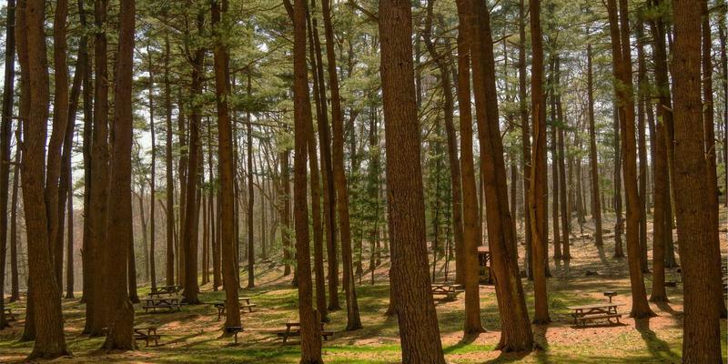 上海久久环保土壤修复技术应用：化工遗留场地治理的实践与解决方案