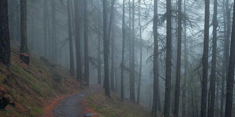 上海久久环保：工业园区废气处理托管运营，如何兼顾水处理与固废处理协同增效？