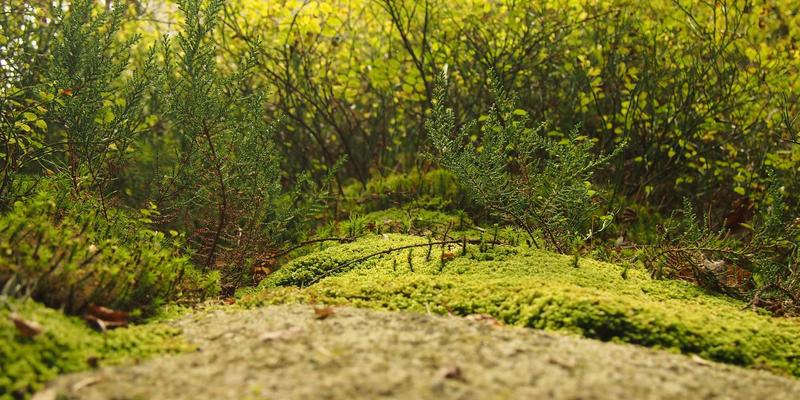 上海久久环保：工业废水深度处理与回用技术的创新实践与固废协同处理