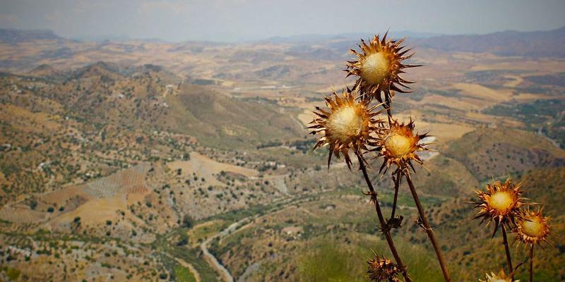 上海久久环保：工业窑炉烟气超低排放改造的脱硫脱硝除尘一体化解决方案