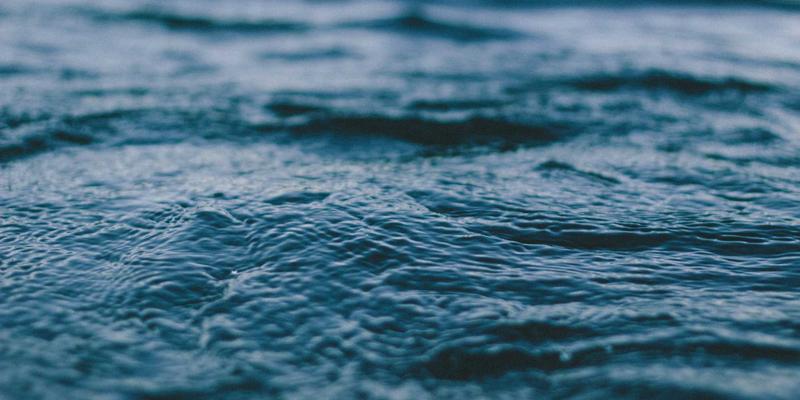 上海久久环保生物除臭技术：市政污水处理厂的高效环保解决方案