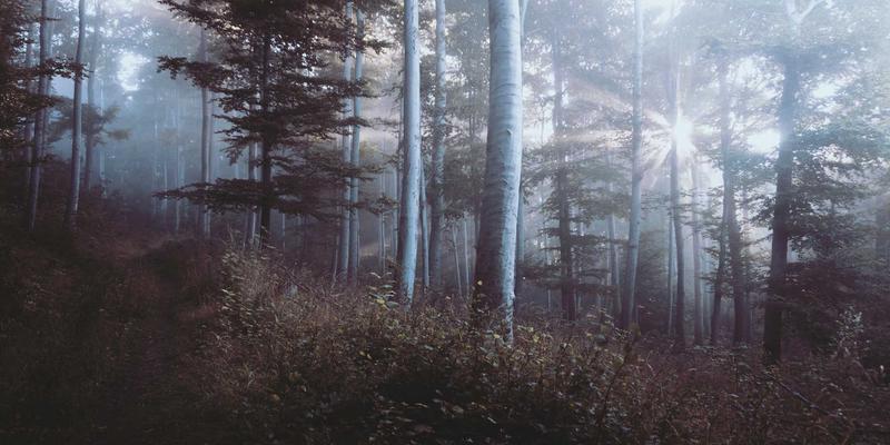 上海久久环保：高级氧化技术破解制药行业高浓度有机废水处理难题